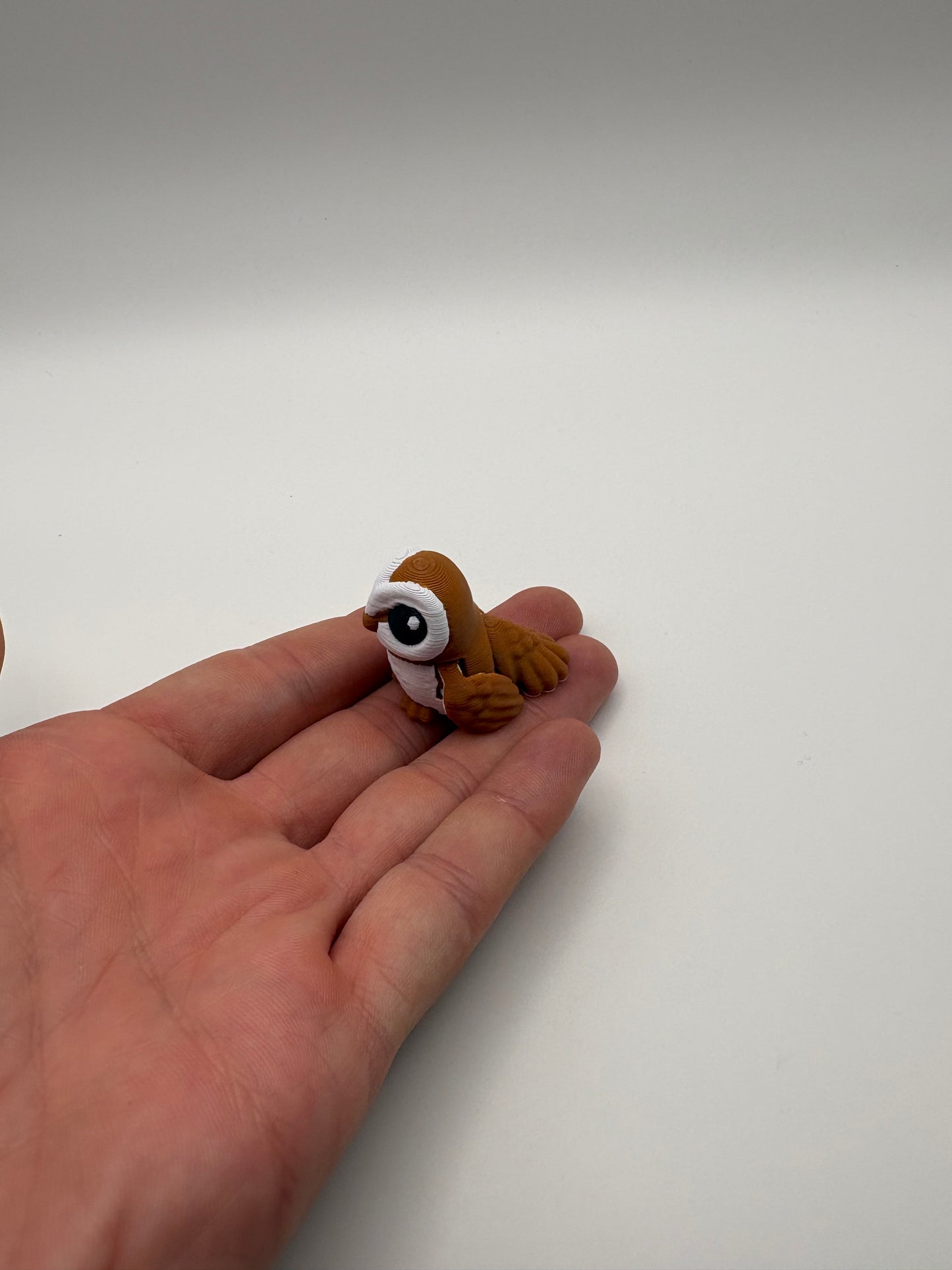 Tiny Owl