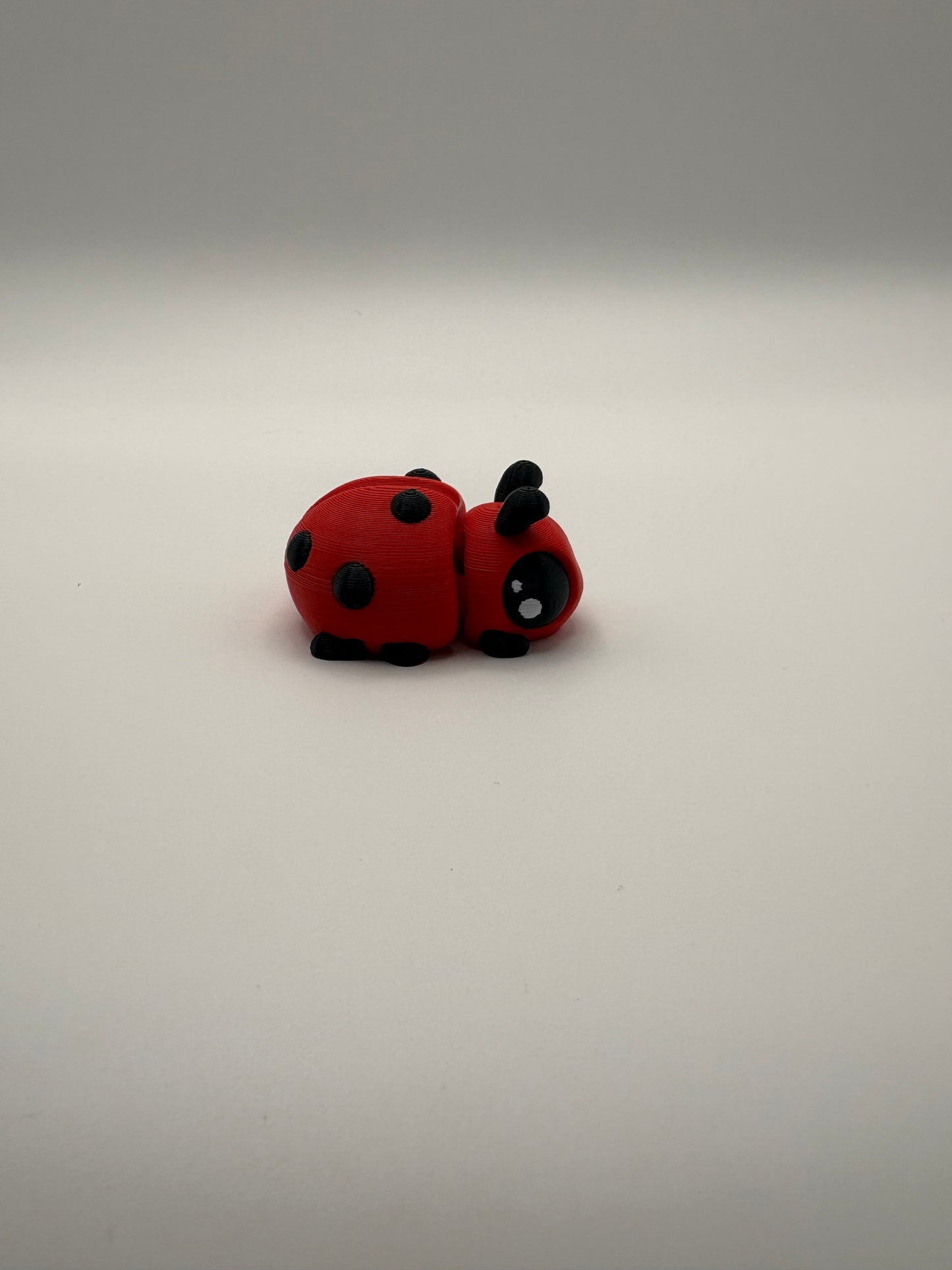 Ladybug