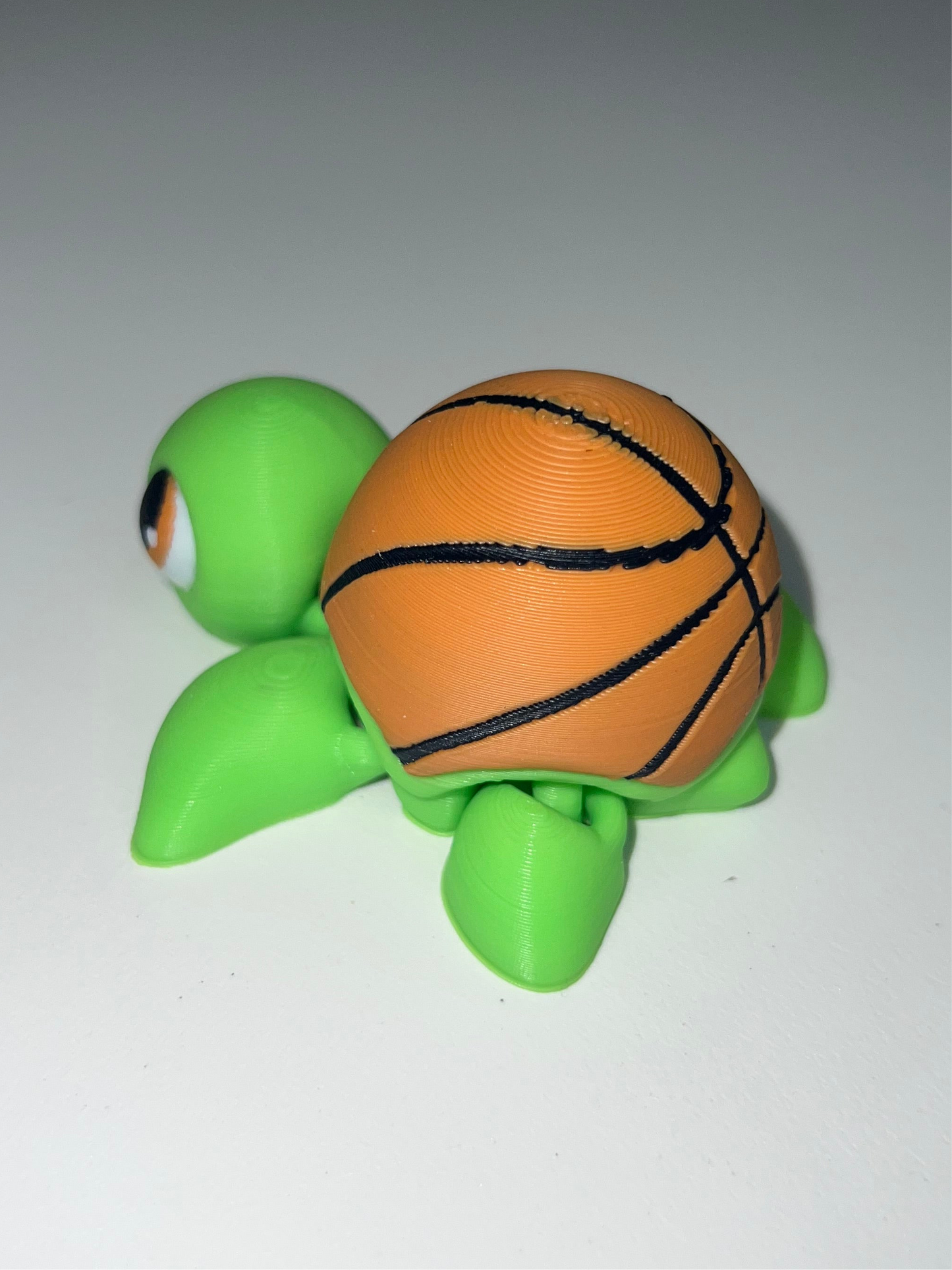 Basketball Turtles