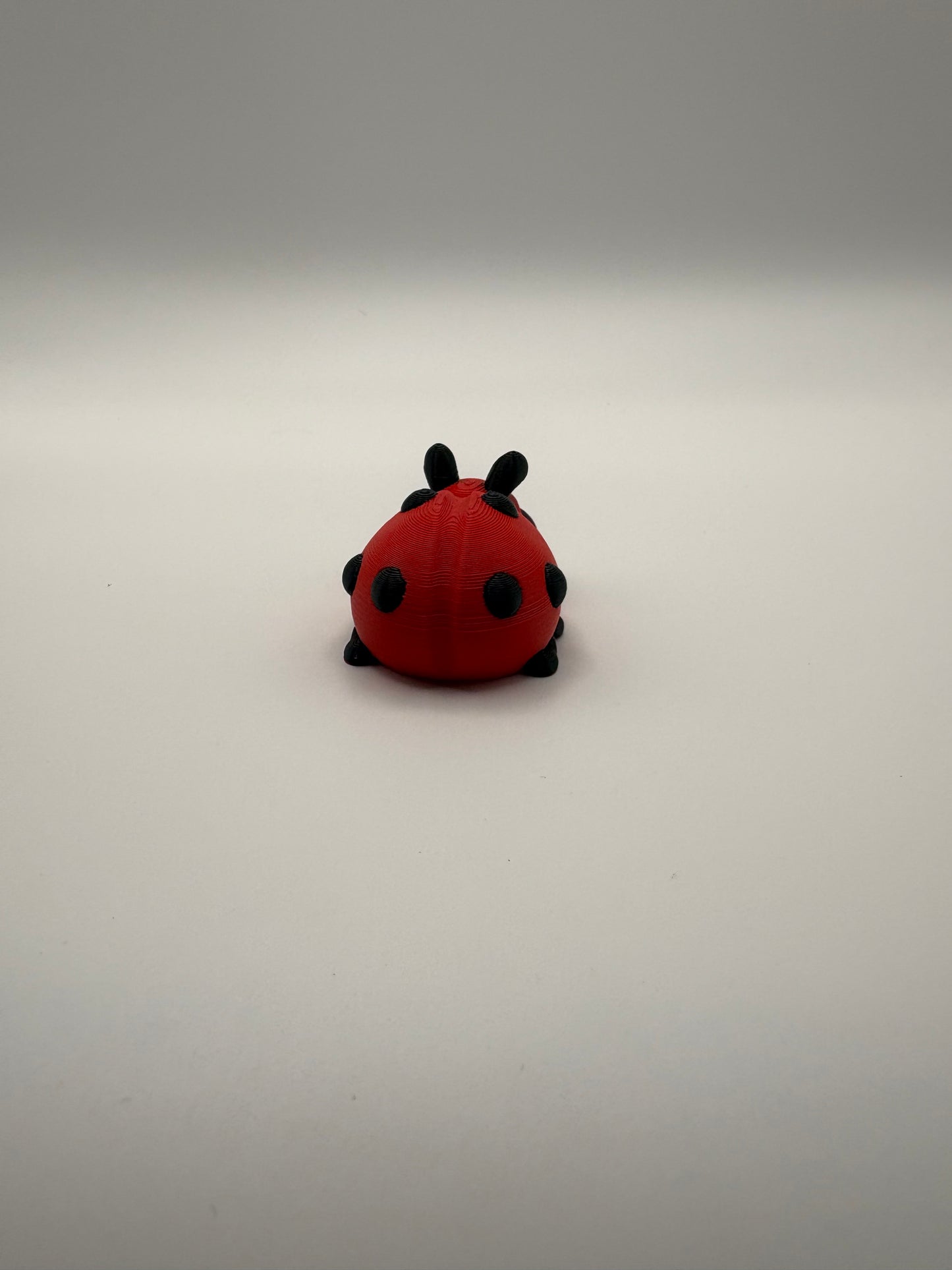 Ladybug