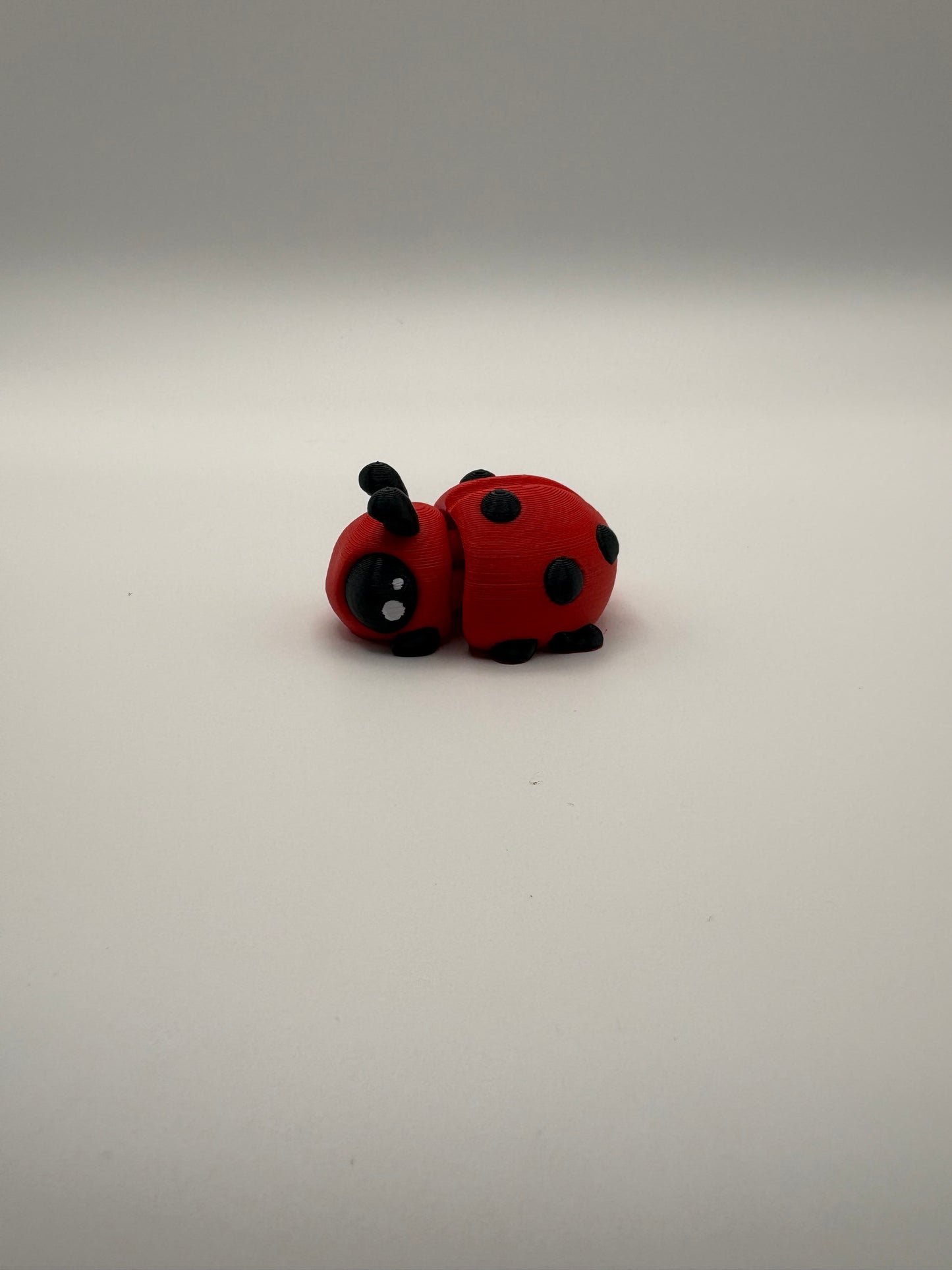 Ladybug
