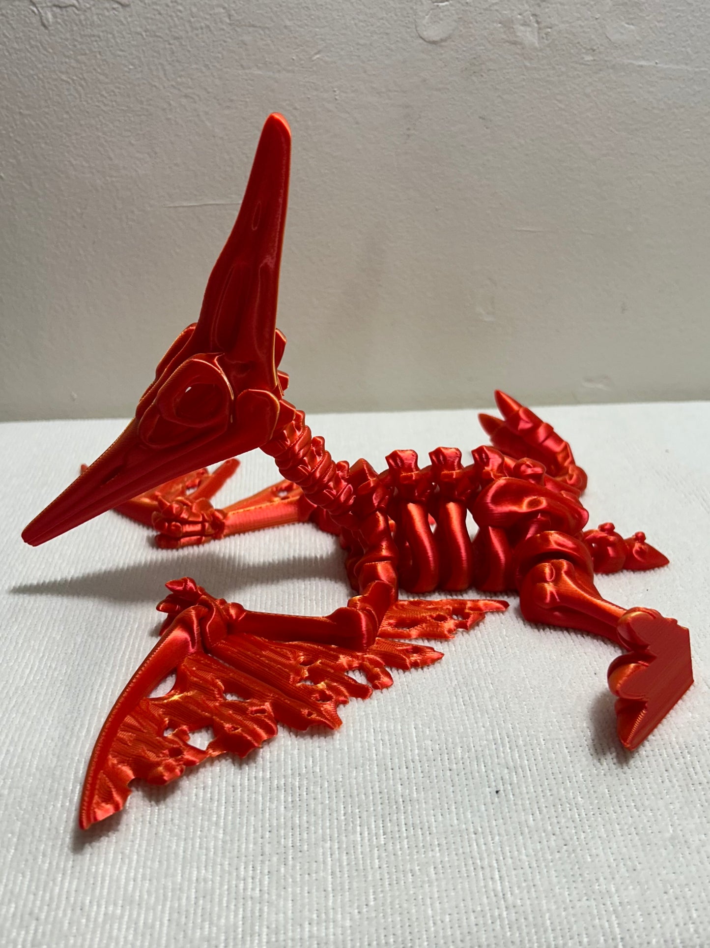 Pterodactyl Skeleton