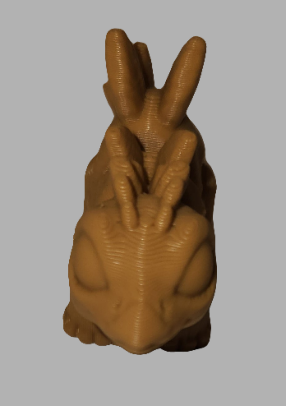 Fan back Dino hatchling