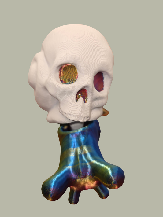 Skull shelled snails