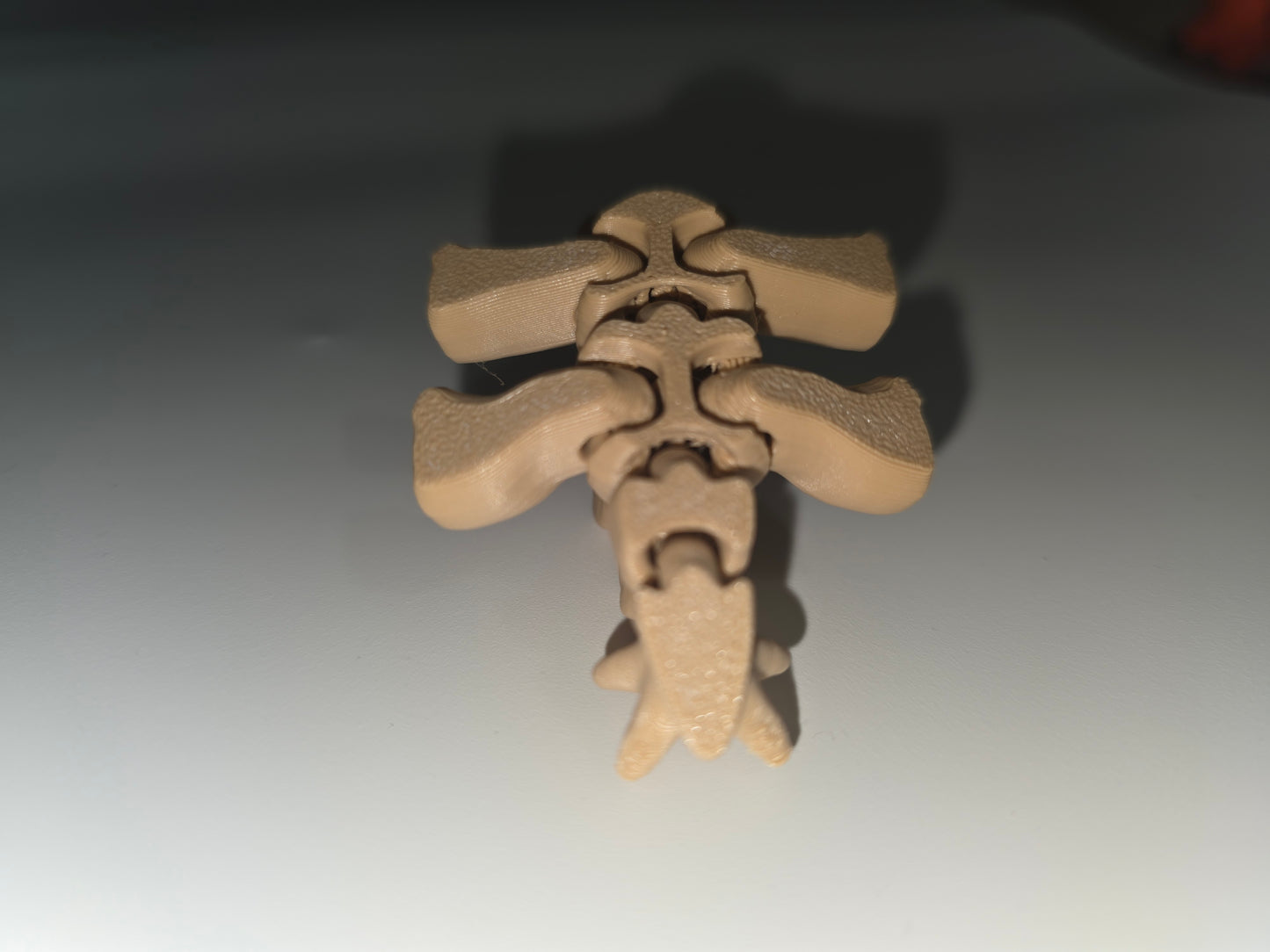 Fan back Dino hatchling