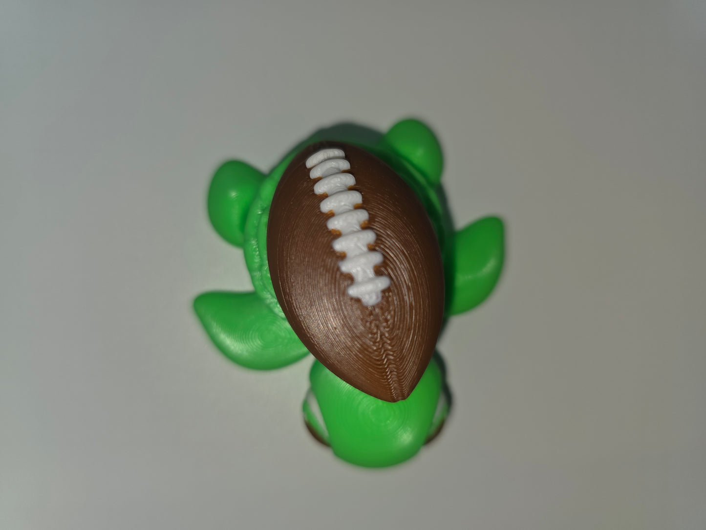 Football turtles