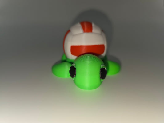 Volleyball turtles