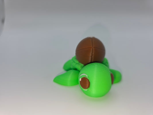 Football turtles