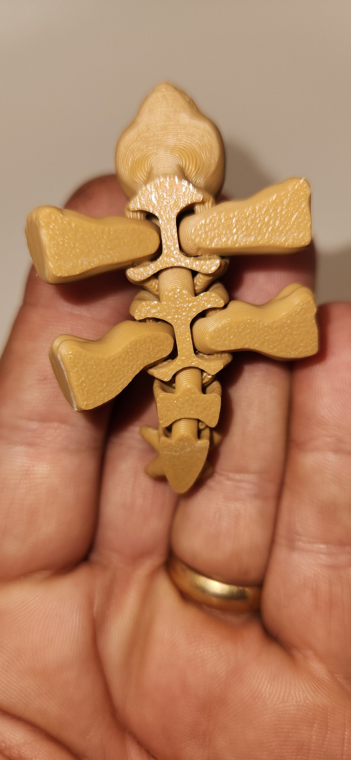 Fan back Dino hatchling