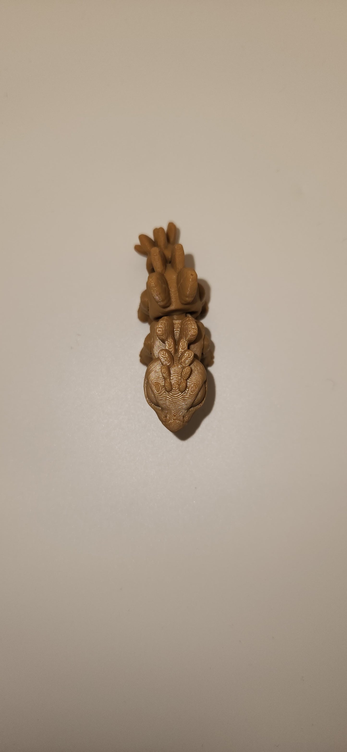 Fan back Dino hatchling