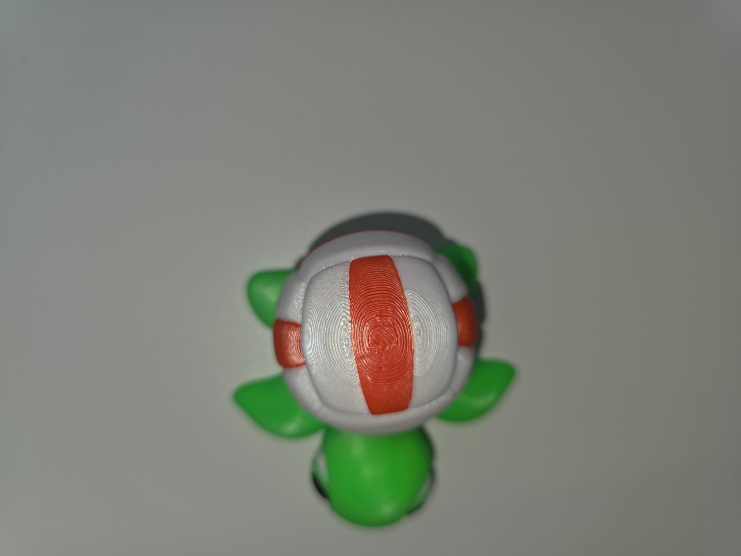 Volleyball turtles