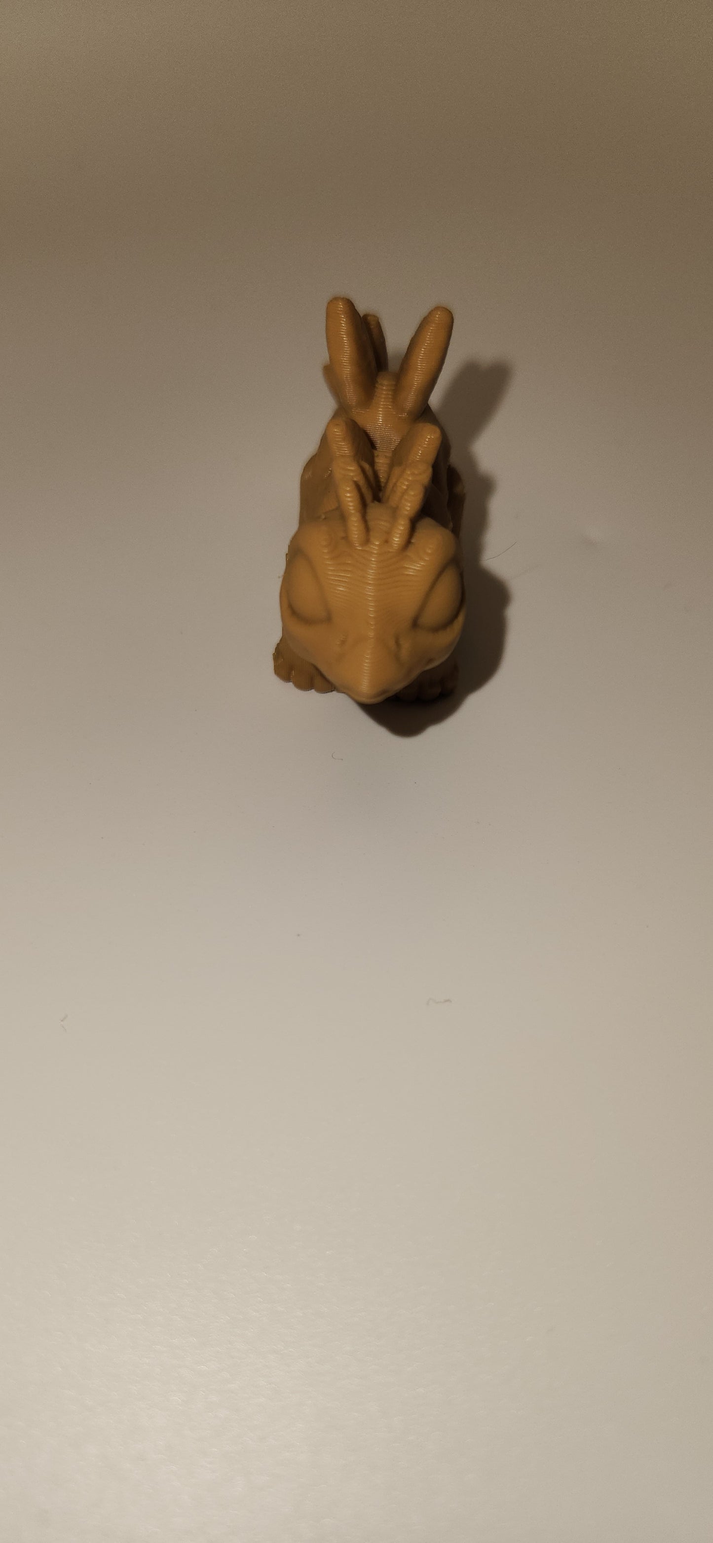 Fan back Dino hatchling