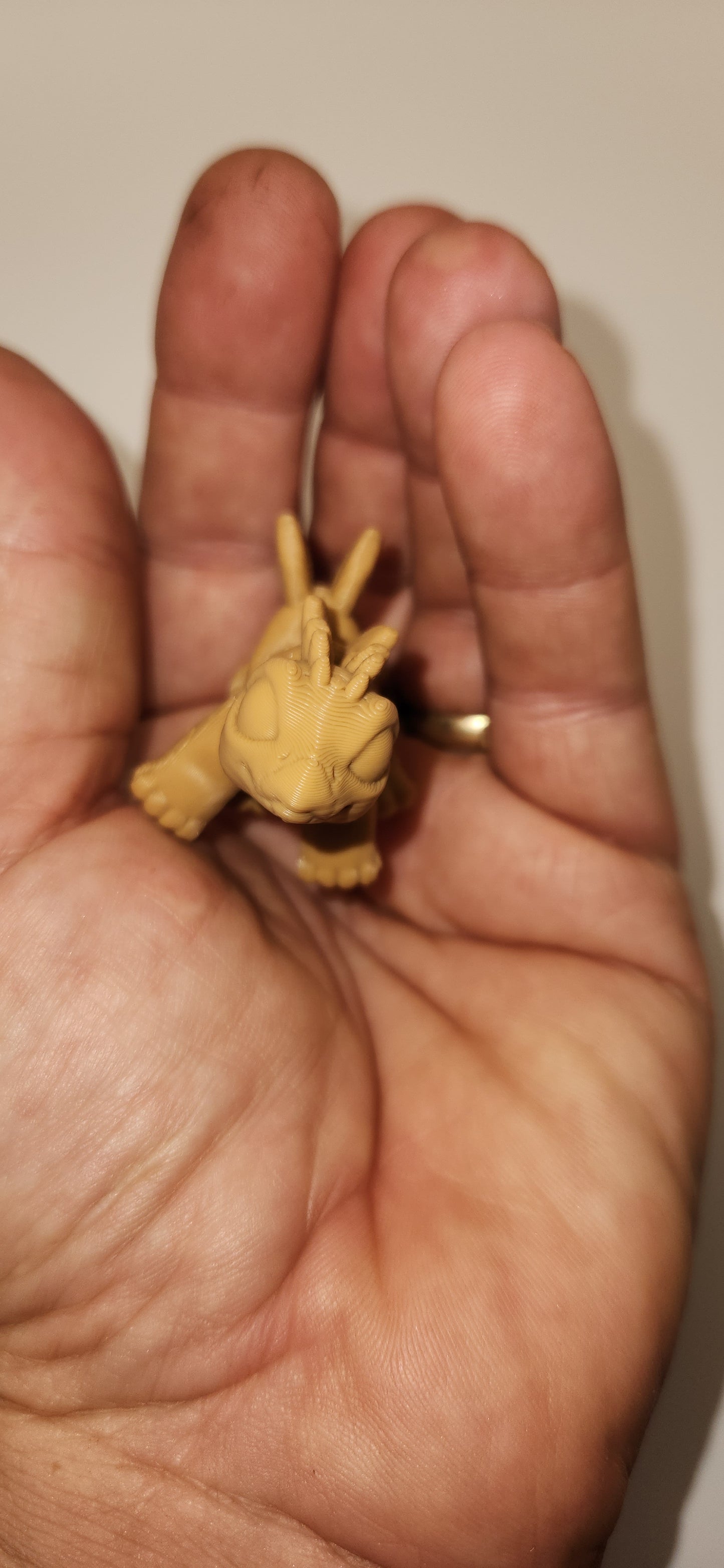 Fan back Dino hatchling