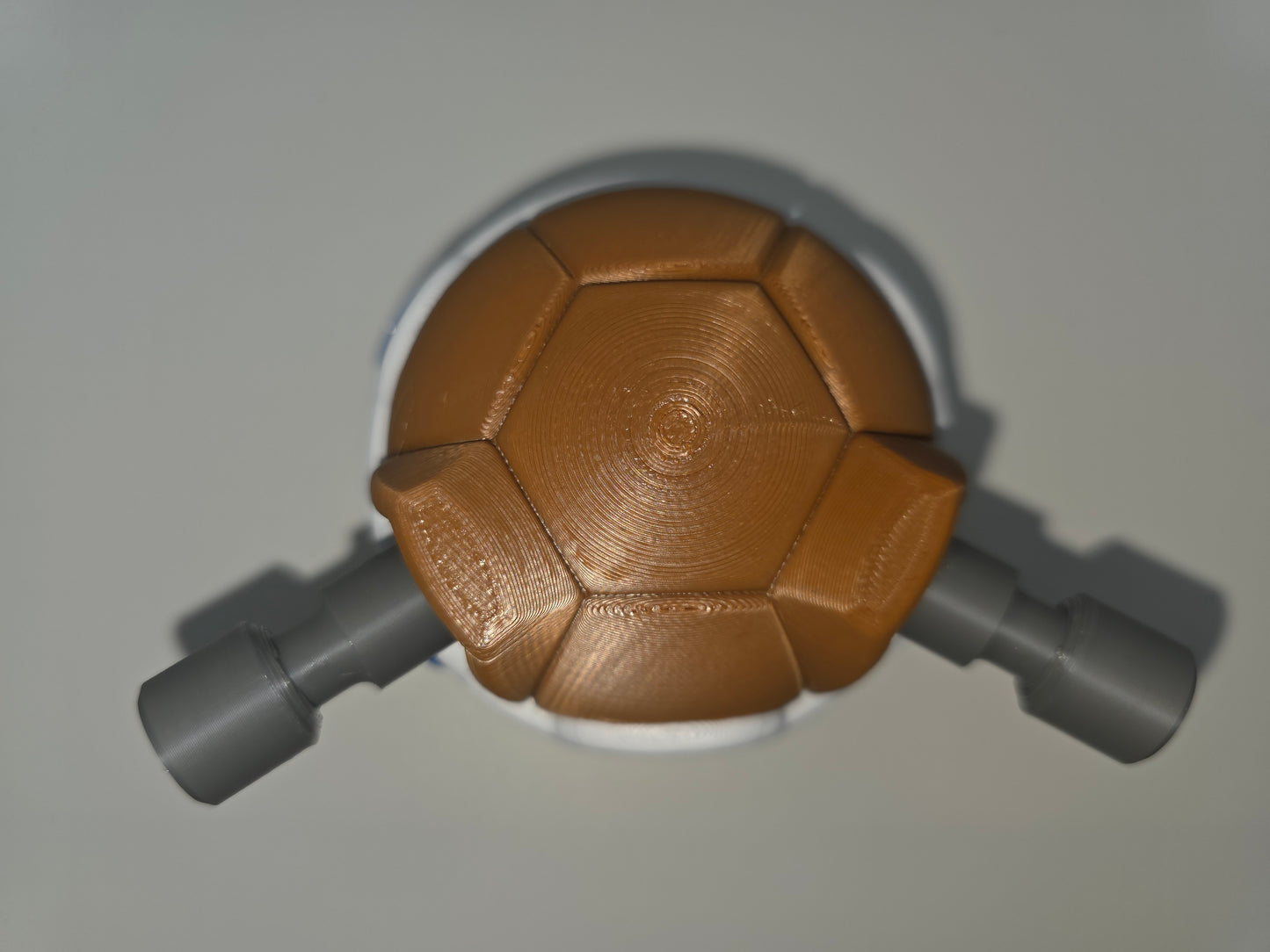 Blastoise themed pokeball